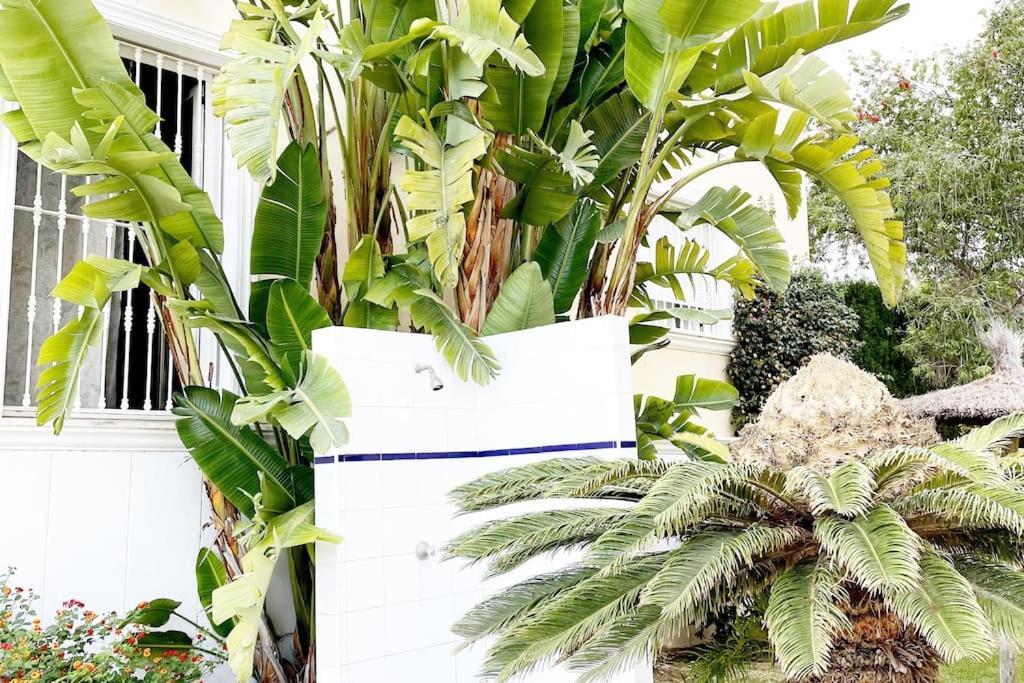 Jávea Beach Penthouse Apartment מראה חיצוני תמונה